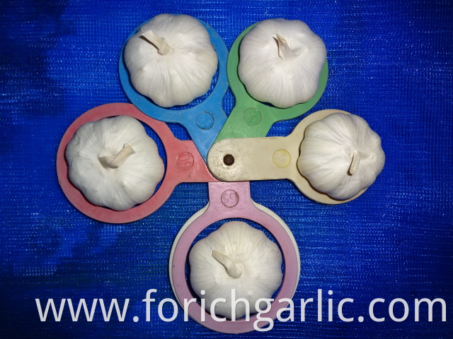 Loose Packing New Pure Garlic